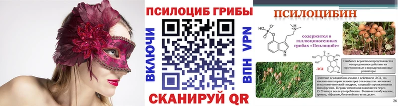 купить наркотик  Верхняя Салда  Галлюциногенные грибы прущие грибы 